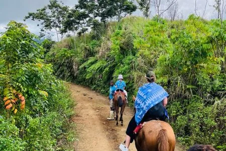 Coral Coast Fiji Mountain View Horse Riding 2025